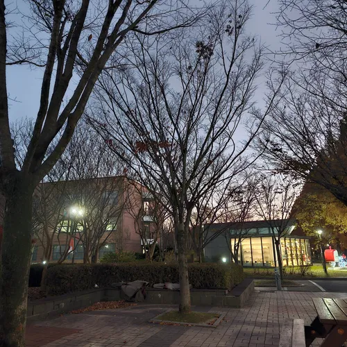 Campus at night in late autumn